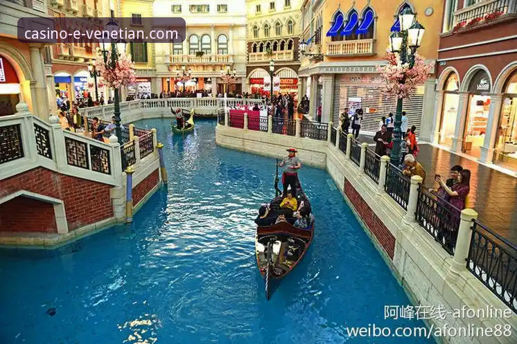 威尼斯人娱乐城APP 2026版更新实用指南：资深用户分享升级体验与技巧